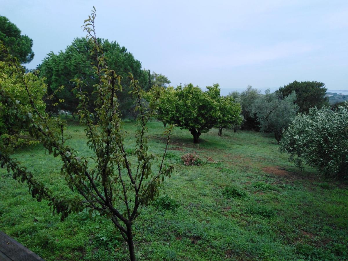 Villa Aliki Petrochori  외부 사진