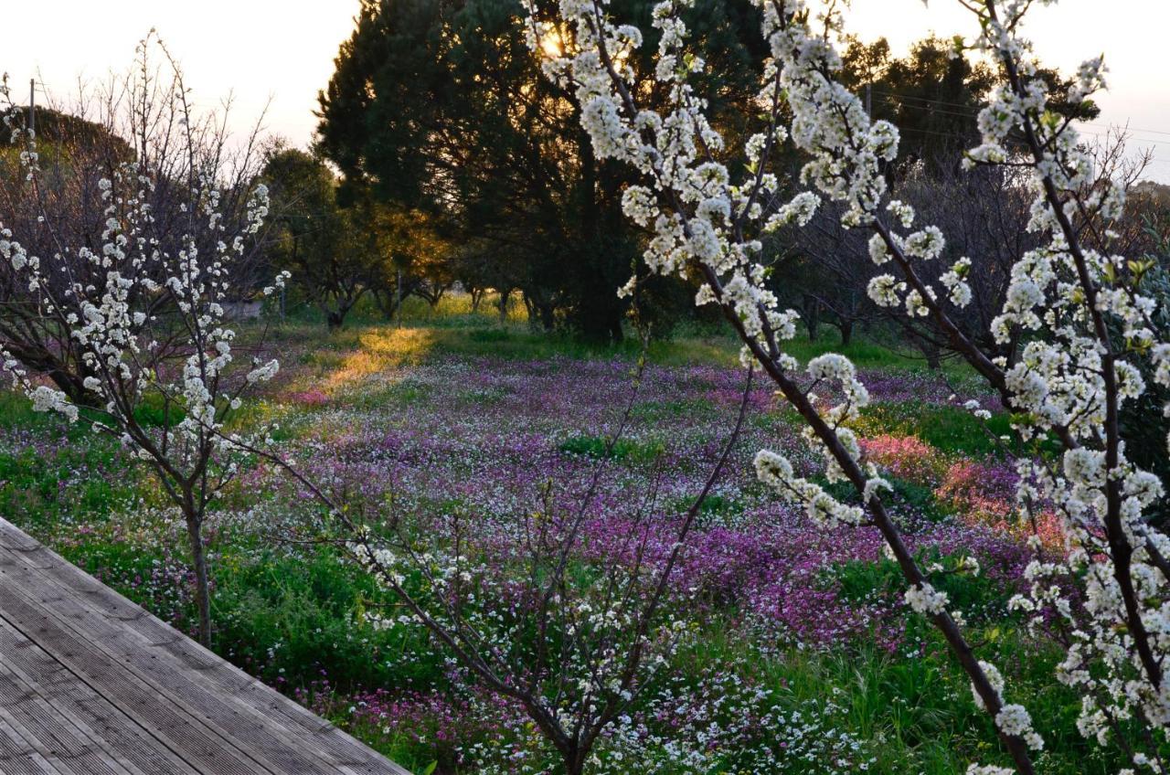 Villa Aliki Petrochori  외부 사진